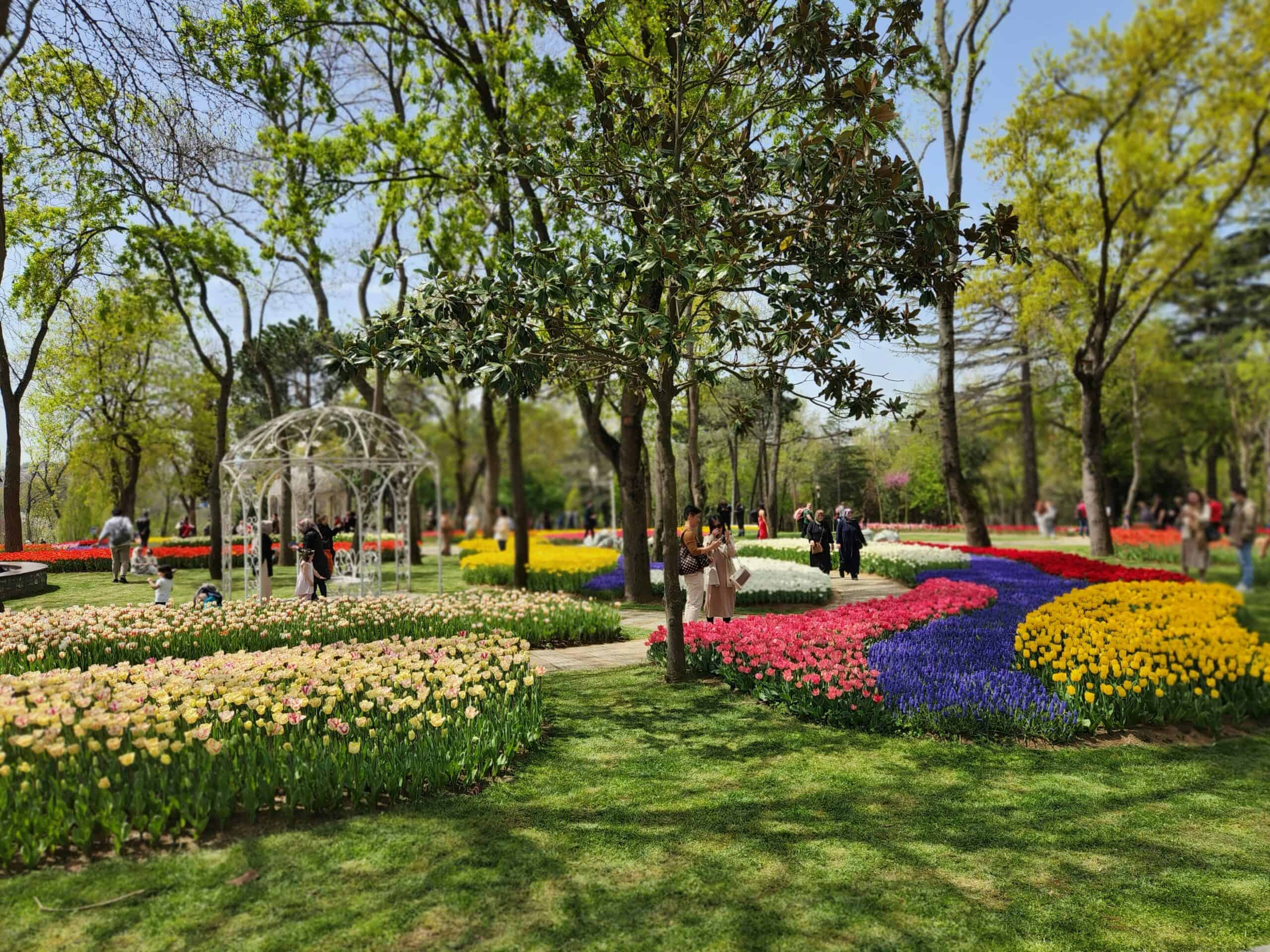 Turkey Tulip Tour 2026 banner